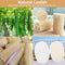 Loofah products