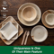 Palm Leaf Tableware